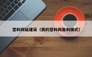 濮阳塑料网站建设（我的塑料网盈利模式）