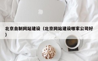 濮阳北京自制网站建设（北京网站建设哪家公司好）
