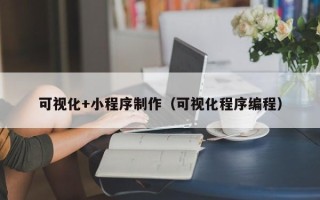濮阳可视化+小程序制作（可视化程序编程）